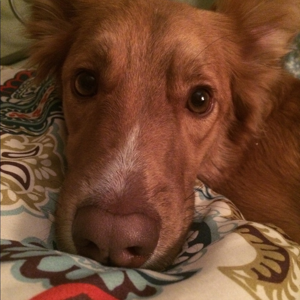 Meet your Posher, Lin